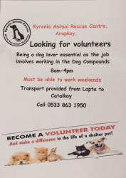 VOLUNTEER NOW