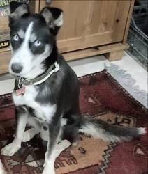 20181014_170823.jpg