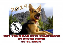 CALENDAR ADVERT.jpg