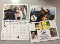 calendar2018.EMAIL.jpg
