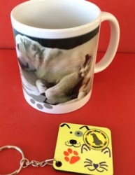 mugsandkeyrings1.EMAIL.jpg