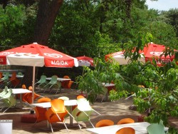 DSC03067.JPG (2.95 MiB) Viewed 1371 times Lunch in the mountains