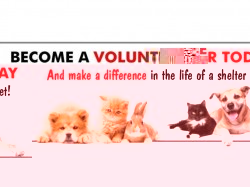 centre volunteers.jpg