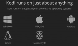 Kodi Device Options.JPG