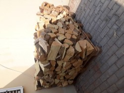 20190914_154206.jpg