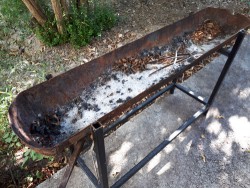 Barbecue.jpg
