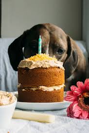 cake2019A.jpg