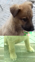 B0504152-C3AE-4BC6-A69B-39F428039AF1.jpeg