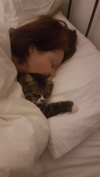 sleepwife.jpg (57.18 KiB) Viewed 19156 times The drunk guy at end of the bar we agreed to put up for a few days is sleeping with my wife