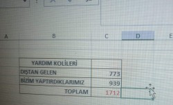 collected.jpg