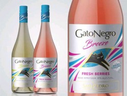 Beautiful Sparkling Wine spritza.jpeg