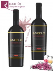 Angelo.jpg