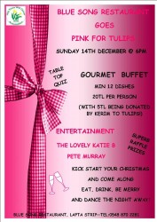 blue song pink ribbon1a.jpg