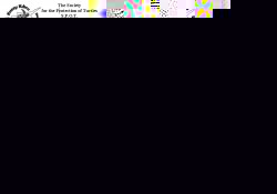 spot.jpg