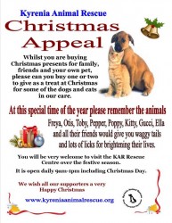 christmas-appeal-KAR.jpg
