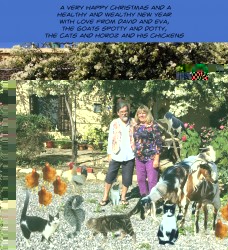 christmas card 2014.jpg