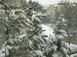IMG_1498.JPG