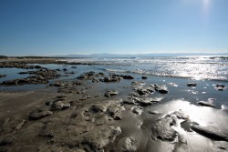 IMG_6137(Forum).jpg (594.97 KiB) Viewed 1029 times Acdeniz Beach 2013