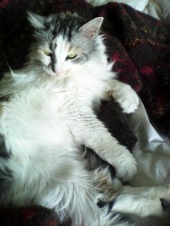 on the bed.jpg