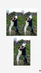 These are the photos