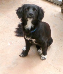 Jess.JPG (361.7 KiB) Viewed 1526 times What a little beauty