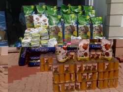 Food mountain.jpg