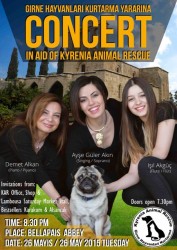 Bellapais Abbey Concert May 2015 Poster A4 copy.jpg
