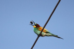 IMG_0124.jpg