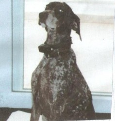 SASHA  - photo.jpg
