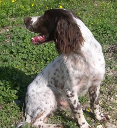 DSCN0715.JPG