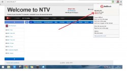 NTV Ads.jpg