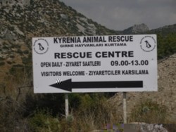 centre sign.jpg