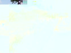 centre fence.jpg
