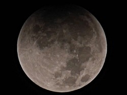 moon2.jpg