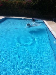 Fez Black pool.jpg
